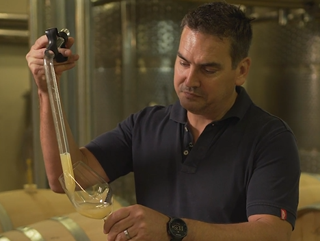 Anthonij Rupert Wines | Masterclass | Level 2 | 2025_T1  ANT01