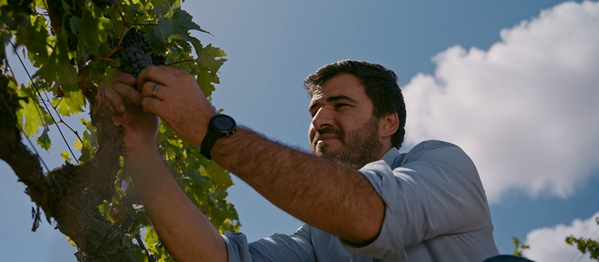 Glenelly | Masterclass | Level 2 | 2026_T1 GLE01