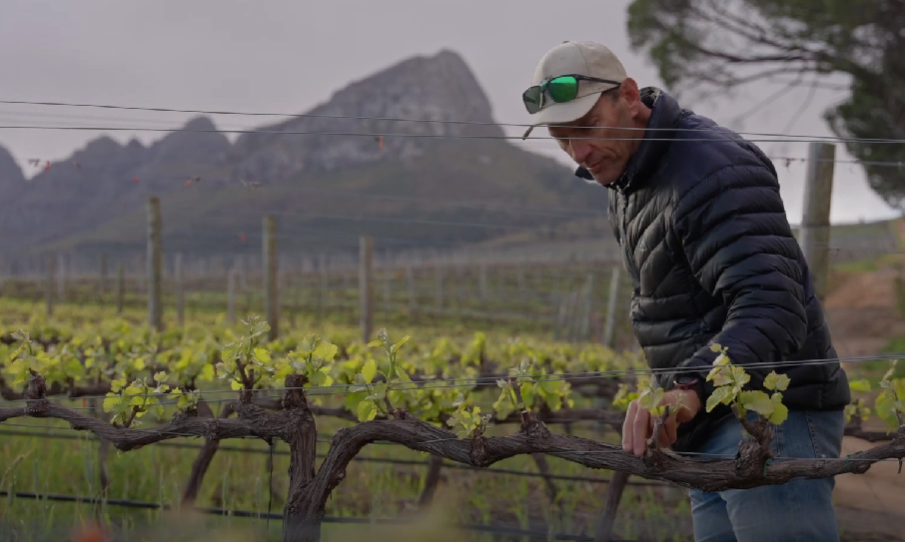 Spier Wines | Masterclass | Level 2 | 2025_T2 SPI01