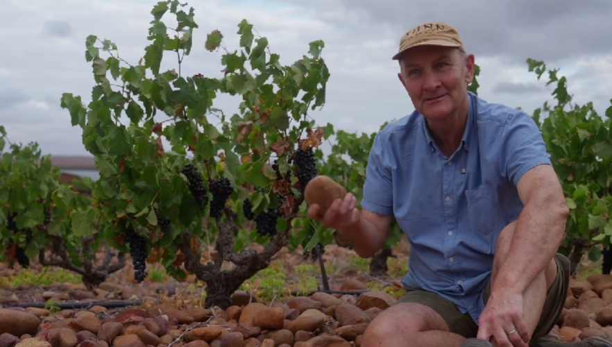 Sijnn Wines | Masterclass | Level 2 | 2026_T2 Sij02